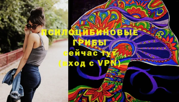 spice Арсеньев