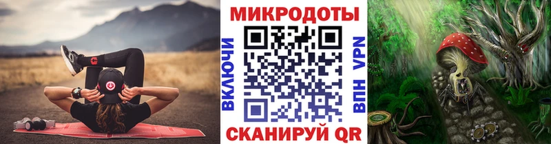 Псилоцибиновые грибы мицелий Куса